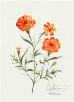 October Marigold Birth Month Flower Card